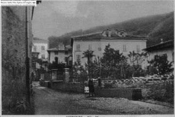 Sfoglia la galleria