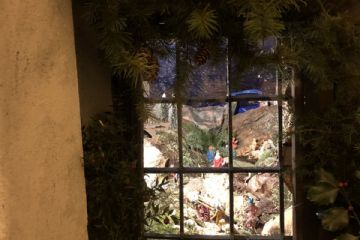 Sfoglia la galleria